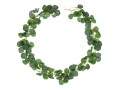 Girlanda Eukaliptus, 1.8m