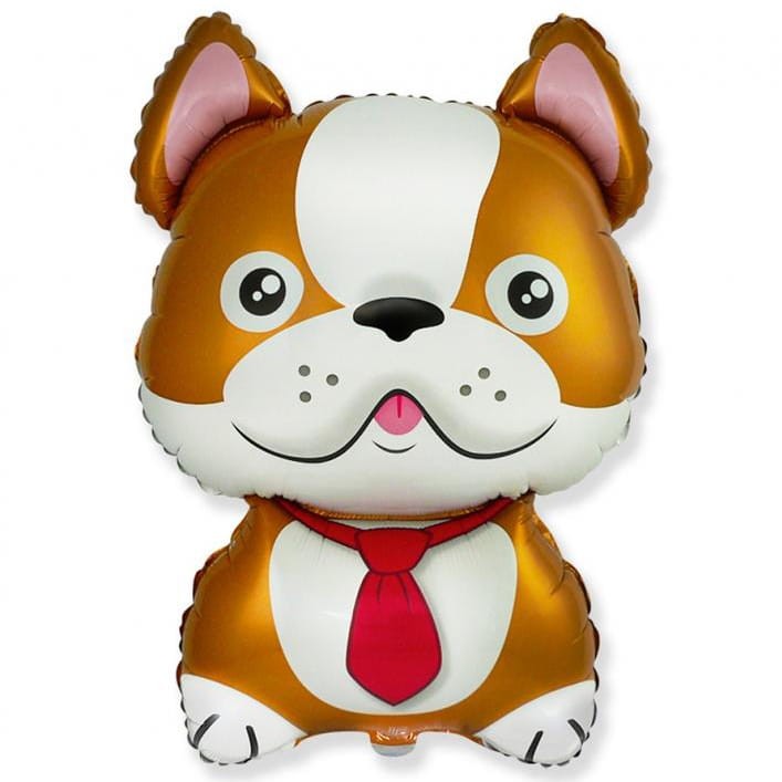 balon foliowy 60cm pies bulldog