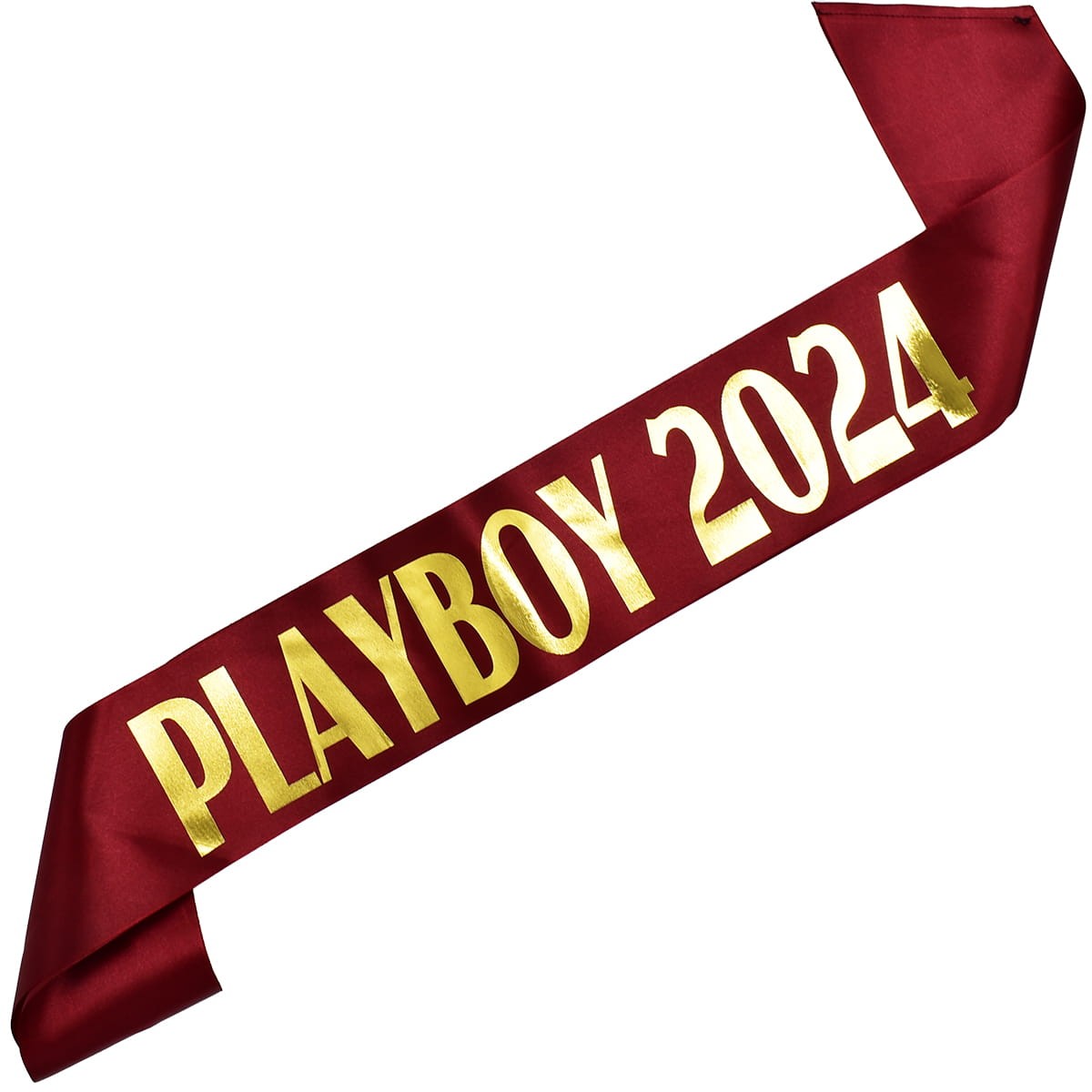 playboy 2024.jpg